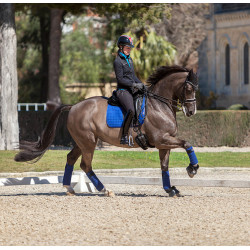 Mantilla LeMieux doma square - luxury Benetton azul Mantilla LeMieux doma square - luxury Benetton azul