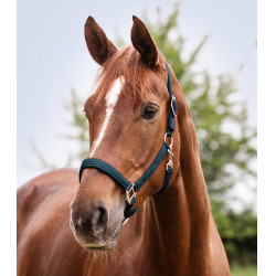 Cabezada Waldhausen Satin Azul petróleo