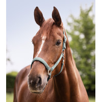 Cabezada Waldhausen Satin Azul plateado Cabezada Waldhausen Satin Azul plateado