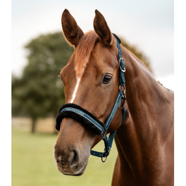 Cabezada Waldhausen Elegant Azul petróleo