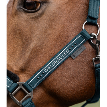 Cabezada Waldhausen Elegant Azul petróleo