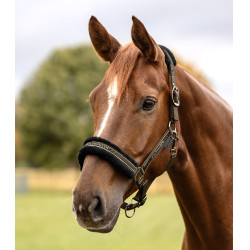 Cabezada Waldhausen Elegant Marrón verde