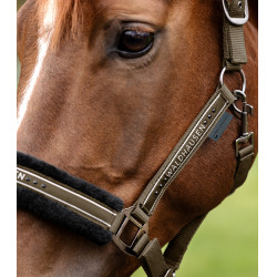 Cabezada Waldhausen Elegant Marrón verde