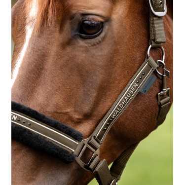 Cabezada Waldhausen Elegant Marrón verde