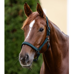 Cabezada Waldhausen Athletic Azul petróleo