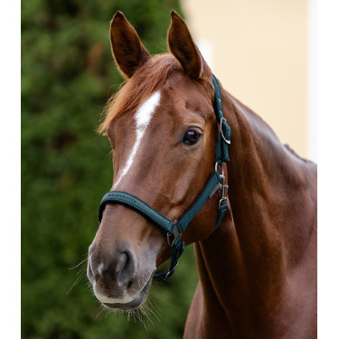 Cabezada Waldhausen Athletic Azul petróleo