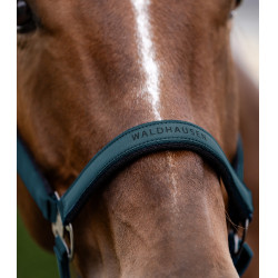 Cabezada Waldhausen Athletic Azul petróleo