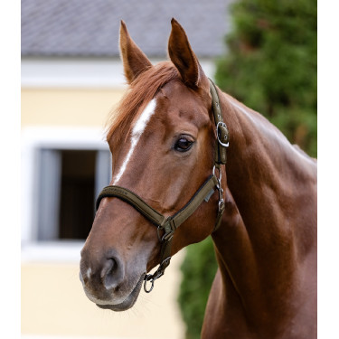 Cabezada Waldhausen Athletic Marrón verde Marr&amp;oacute;n