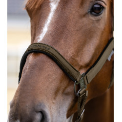 Cabezada Waldhausen Athletic Marrón verde Marr&amp;oacute;n