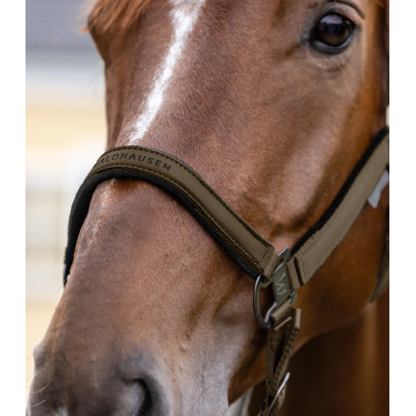 Cabezada Waldhausen Athletic Marrón verde Marr&amp;oacute;n