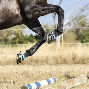 Scoot Boots - botas para caballos Scoot Boots - botas para caballos
