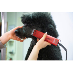 Cortadora FAV5 Aesculap Roja Rojo