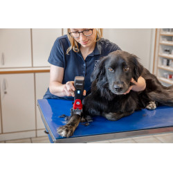 Cortadora inalámbrica Favorita CLi Aesculap Roja Rojo