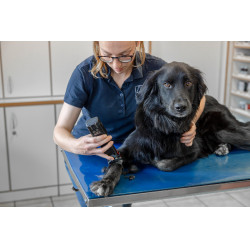 Cortadora inalámbrica Favorita CLi Aesculap Roja Rojo