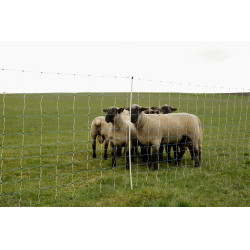 OviNet Maxi AKO Blanco / azúl