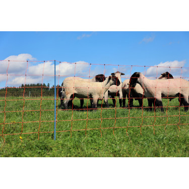 OviNet Premium AKO Naranja