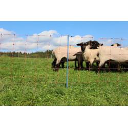 OviNet Premium AKO Naranja