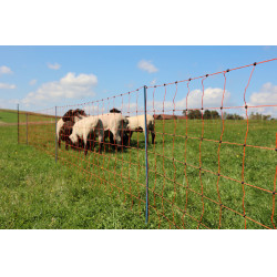 OviNet Premium AKO Naranja