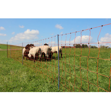 OviNet Premium AKO Naranja