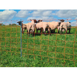 OviNet Premium AKO Naranja