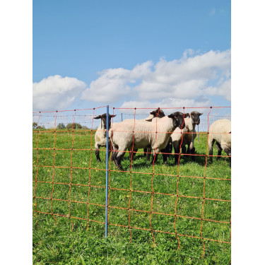 OviNet Premium AKO Naranja