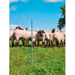 OviNet Premium AKO Naranja