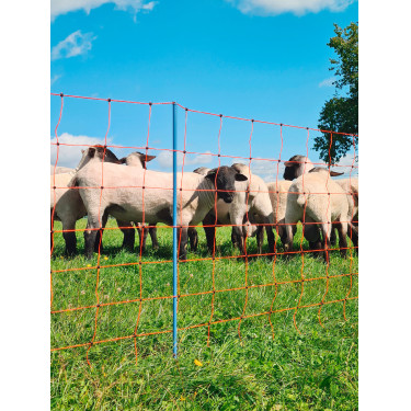 OviNet Premium AKO Naranja