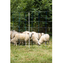 TitanNet 145 AKO Azul / blanco