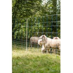 TitanNet 145 AKO Azul / blanco