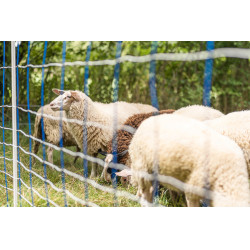 TitanNet 145 AKO Azul / blanco