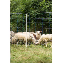 TitanNet 145 AKO Azul / blanco