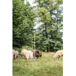 TitanNet 145 AKO Azul / blanco