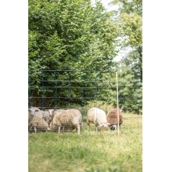 TitanNet 145 AKO Azul / blanco