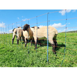 TitanNet Premium AKO Azúl / naranja