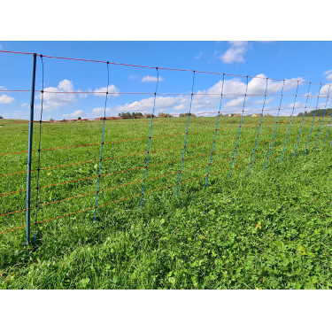 TitanNet Premium AKO Azúl / naranja