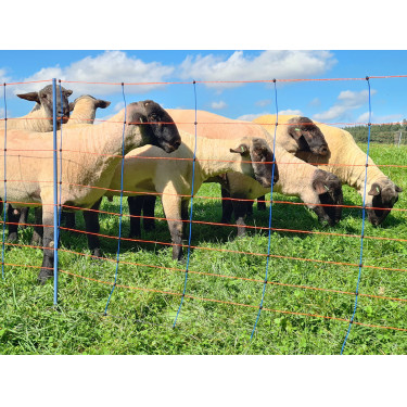 TitanNet Premium AKO Azúl / naranja