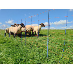 TitanNet Premium AKO Azúl / naranja