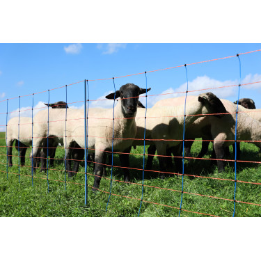 TitanNet Premium AKO Azúl / naranja