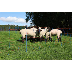 TitanNet Premium AKO Azúl / naranja