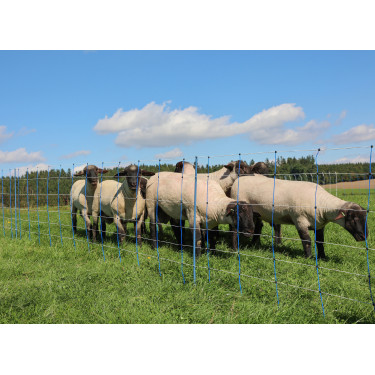 TitanNet Premium Plus AKO Azul / blanco