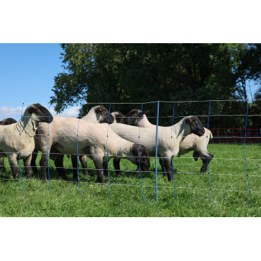 TitanNet Premium Plus AKO Azul / blanco