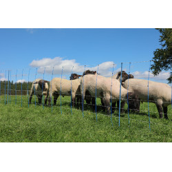 TitanNet Premium Plus AKO Azul / blanco