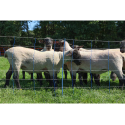 TitanNet Premium Plus AKO Azul / blanco