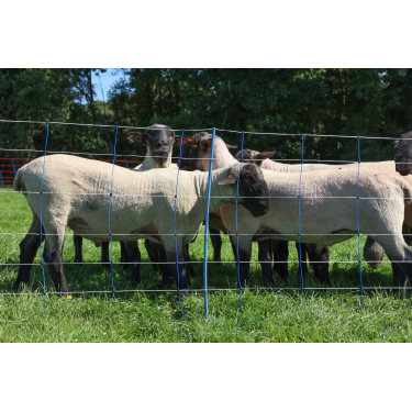 TitanNet Premium Plus AKO Azul / blanco