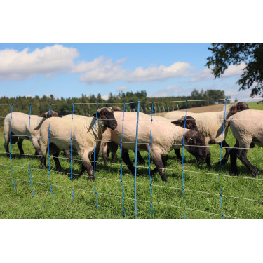 TitanNet Premium Plus AKO Azul / blanco