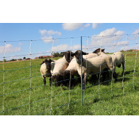 TitanNet Premium Vario AKO Blanco / azúl