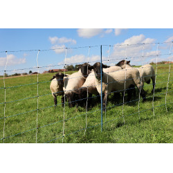 TitanNet Premium Vario AKO Blanco / azúl TitanNet Premium Vario AKO Blanco / azúl