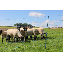 TitanNet Premium Vario AKO Blanco / azúl TitanNet Premium Vario AKO Blanco / azúl