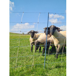 TitanNet Premium Vario AKO Blanco / azúl TitanNet Premium Vario AKO Blanco / azúl