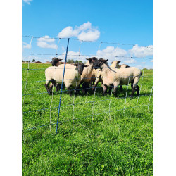 TitanNet Premium Vario AKO Blanco / azúl TitanNet Premium Vario AKO Blanco / azúl